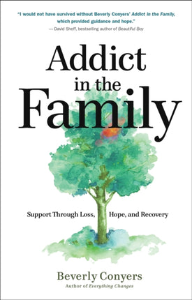 Addict In The Family: Support Through Loss, Hope,