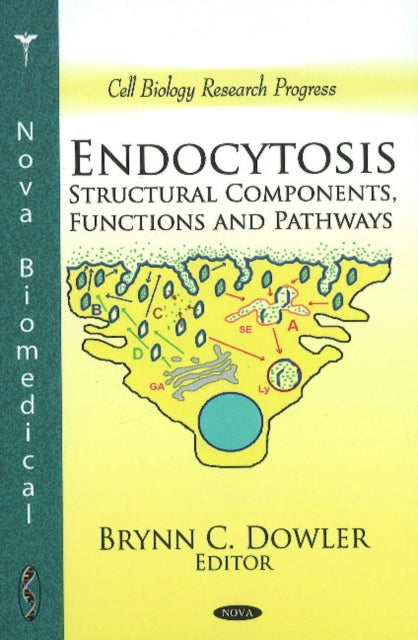 Endocytosis: Structural Components, Functions &