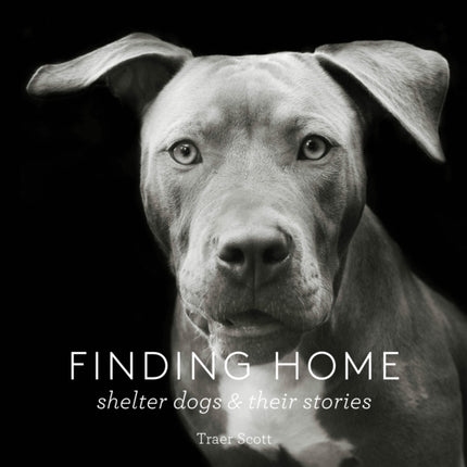 Finding Home: Shelter Dogs and Their Stories