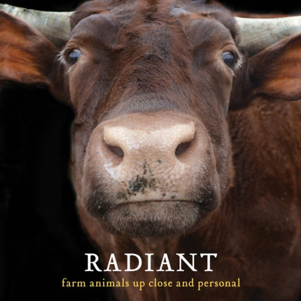 Radiant: Farm Animals Up Close and Personal