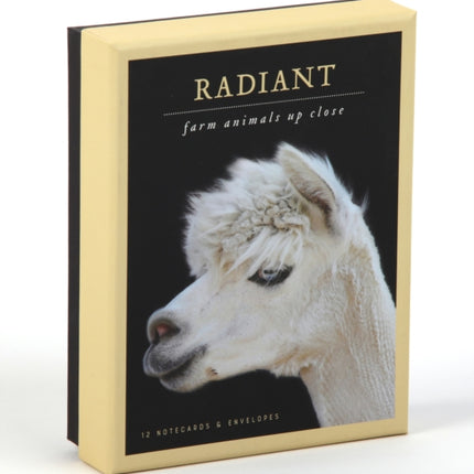 Radiant Notecards: Farm Animals Up Close