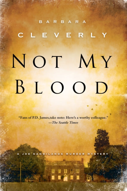 Not My Blood: A Joe Sandilands Investigation