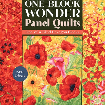 One-Block Wonder Panel Quilts: New Ideas; One-of-a-Kind Hexagon Blocks