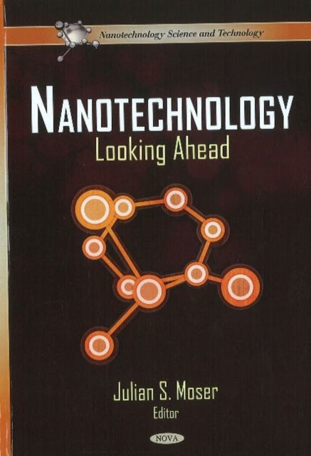 Nanotechnology: Looking Ahead