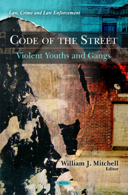 Code of the Street: Violent Youths & Gangs