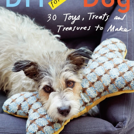 DIY for Your Dog: Toys, Treats, and Treasures to Make