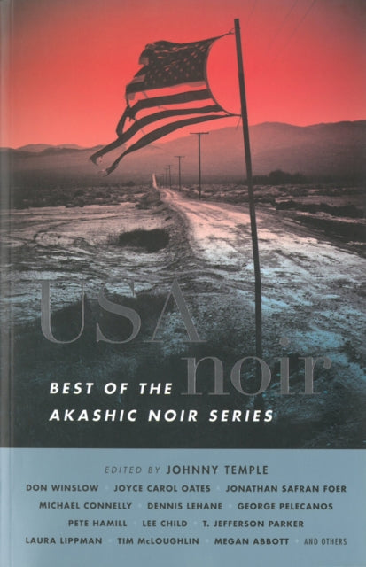 USA Noir: Best of the Akashic Noir Series