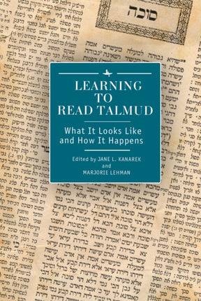 Learning to Read Talmud: What It Looks Like and