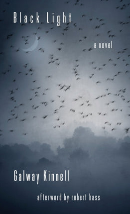 Black Light: A Novel