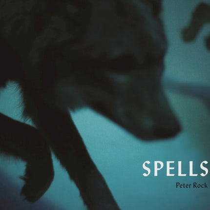 Spells: A Novel Within Photographs