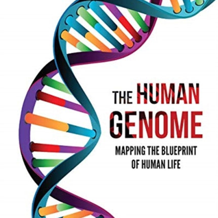 The Human Genome: Mapping the Blueprint of Human Life