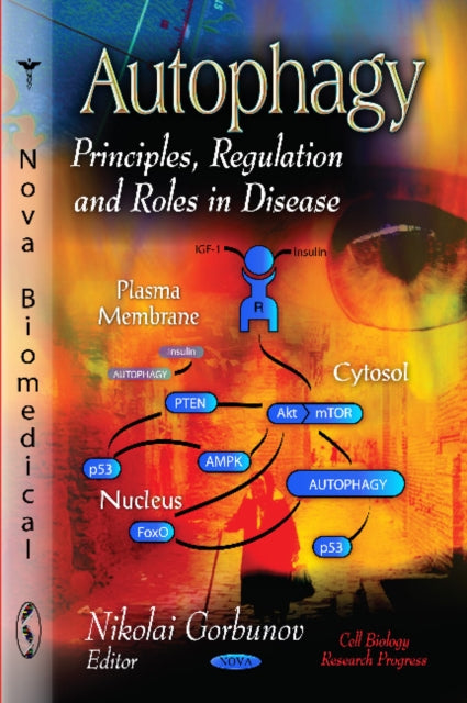 Autophagy: Principles, Regulation & Roles in