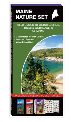 Maine Nature Set: Field Guides to Wildlife, Birds, Trees & Wildflowers of Maine