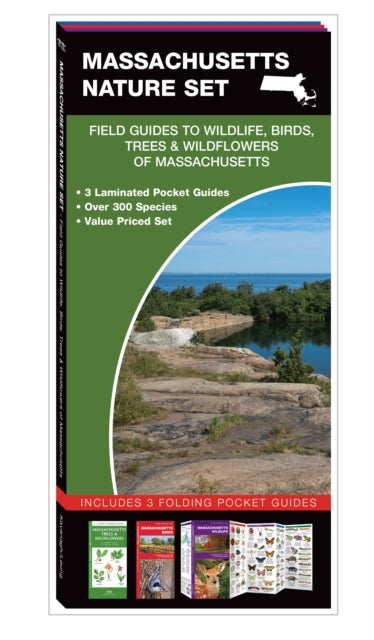 Massachusetts Nature Set: Field Guides to Wildlife, Birds, Trees & Wildflowers of Massachusetts