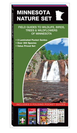 Minnesota Nature Set: Field Guides to Wildlife, Birds, Trees & Wildflowers of Minnesota