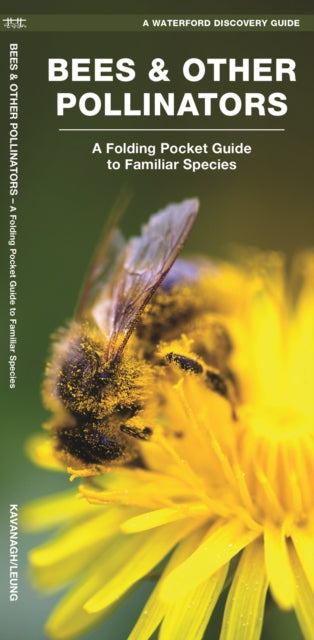 Bees & Other Pollinators: A Folding Pocket Guide to the Status of Familiar Species