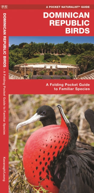 Dominican Republic Birds: A Folding Pocket Guide to Familiar Species