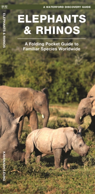 Elephants & Rhinos: A Folding Pocket Guide to the Status of Familiar Species