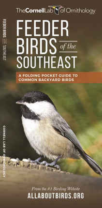 Feeder Birds of the Southeast: A Folding Pocket Guide to Common Backyard Birds