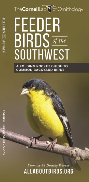 Feeder Birds of the Southwest: A Folding Pocket Guide to Common Backyard Birds