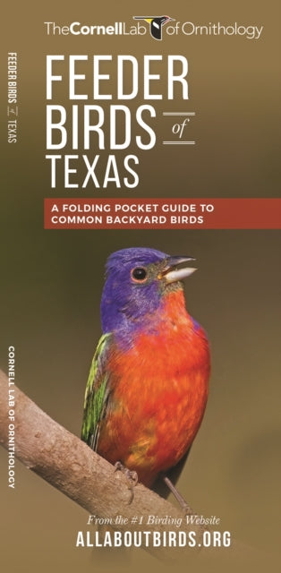 Feeder Birds of Texas A Folding Pocket Guide to Common Backyard Birds All About Birds Pocket Guide Series