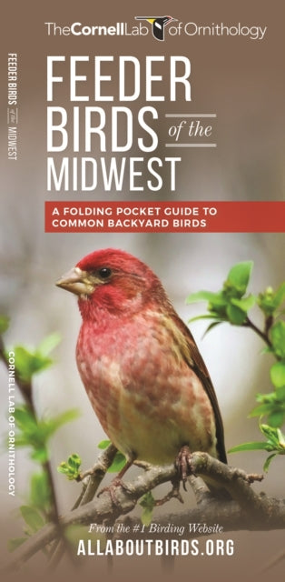 Feeder Birds of the Midwest: A Folding Pocket Guide to Common Backyard Birds