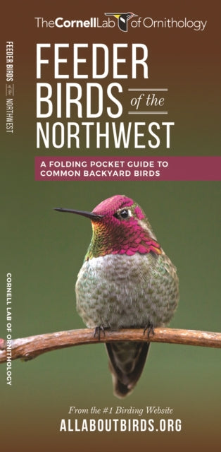 Feeder Birds of the Northwest: A Folding Pocket Guide to Common Backyard Birds