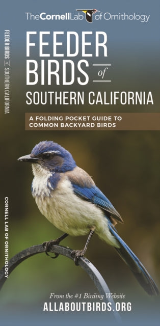 Feeder Birds of Southern California: A Folding Pocket Guide to Common Backyard Birds