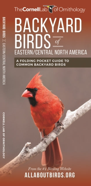 Backyard Birds of Eastern/Central North America: A Folding Pocket Guide to Common Backyard Birds