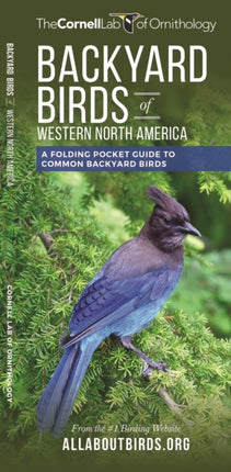 Backyard Birds of Western North America: A Folding Pocket Guide to Common Backyard Birds