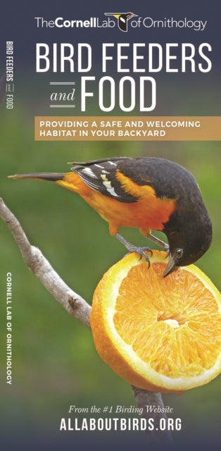 Bird Feeders and Food: Providing a Safe and Welcoming Habitat in Your Backyard