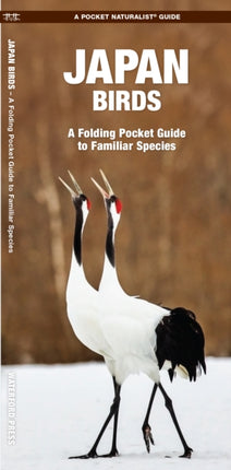 Japan Birds: A Folding Pocket Guide to Familiar Species