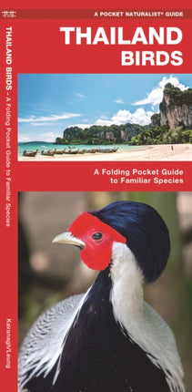 Thailand Birds A Folding Pocket Guide to Familiar Species A Pocket Naturalist Guide