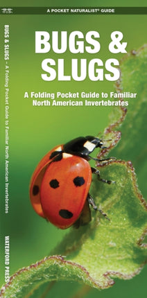 Bugs & Slugs: A Folding Pocket Guide to Familiar North American Invertebrates