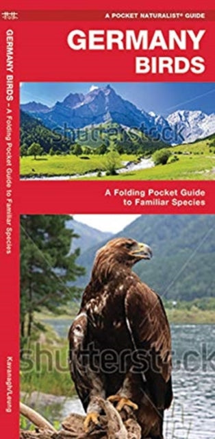 Germany Birds: A Folding Pocket Guide to Familiar Species