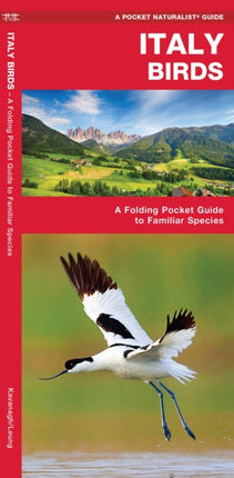 Italy Birds: A Folding Pocket Guide to Familiar Species