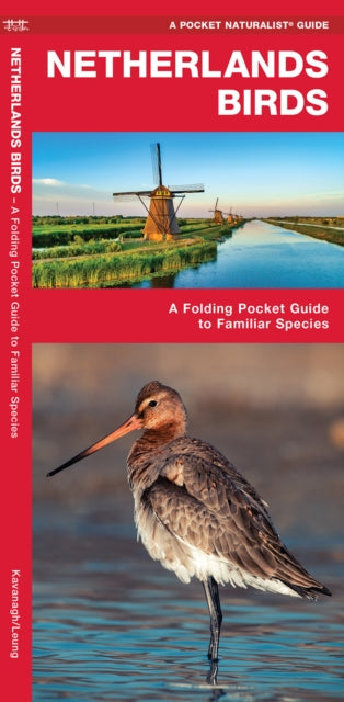 Netherlands Birds: A Folding Pocket Guide to Familiar Species