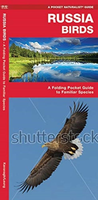 Russia Birds: A Folding Pocket Guide to Familiar Species