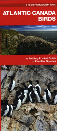 Atlantic Canada Birds: A Folding Pocket Guide to Familiar Species