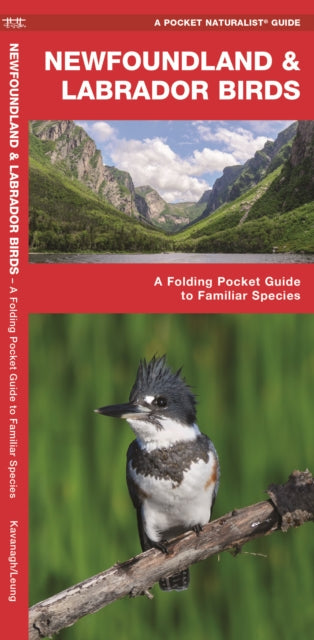 Newfoundland & Labrador Birds: A Folding Pocket Guide to Familiar Species