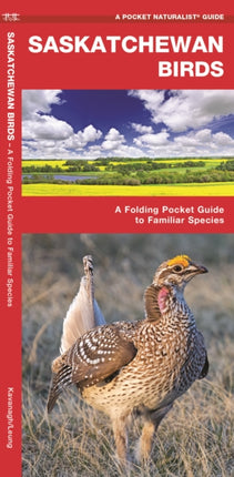 Saskatchewan Birds: A Folding Pocket Guide to Familiar Species