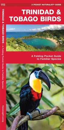 Trinidad & Tobago Birds: A Folding Pocket Guide to Familiar Species