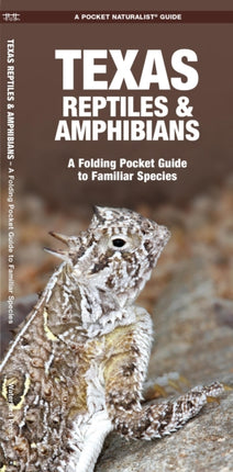 Texas Reptiles & Amphibians: A Folding Pocket Guide to Familiar Species