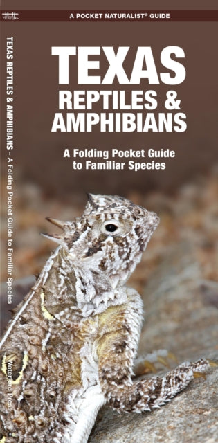 Texas Reptiles & Amphibians: A Folding Pocket Guide to Familiar Species