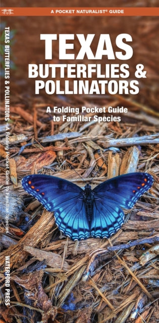 Texas Butterflies & Pollinators: A Folding Pocket Guide to Familiar Species