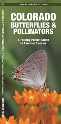 Colorado Butterflies & Pollinators: A Folding Pocket Guide to Familiar Species