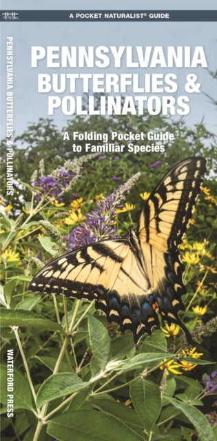 Pennsylvania Butterflies & Pollinators: A Folding Pocket Guide to Familiar Species