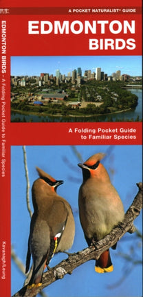 Edmonton Birds: A Folding Pocket Guide to Familiar Species