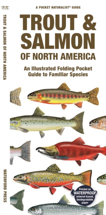 Trout & Salmon of North America: An Illustrated Folding Pocket Guide to Familiar Species