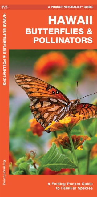 Hawaii Butterflies & Pollinators: A Folding Pocket Guide to Familiar Species